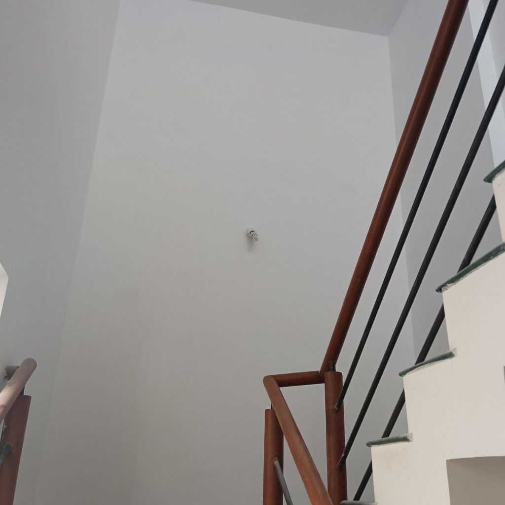 Before Image 2
