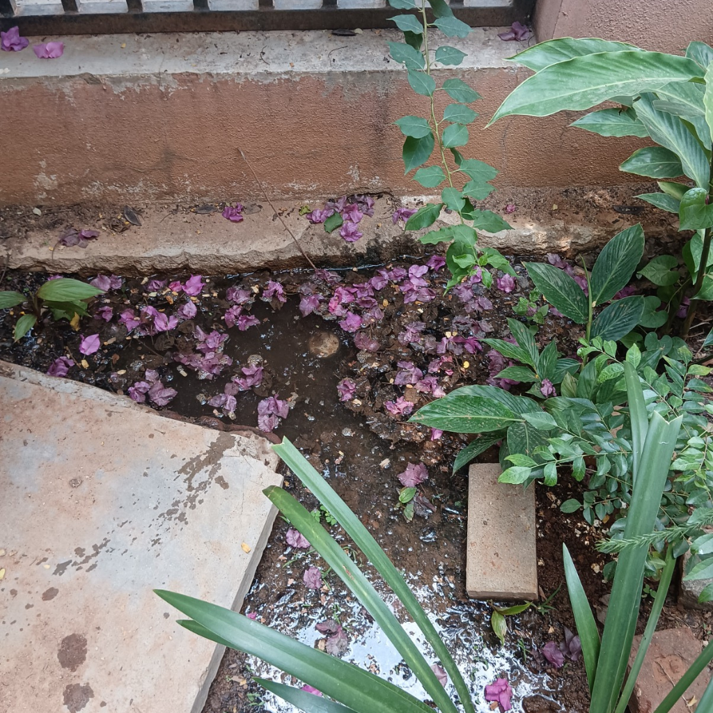 Before Image 2